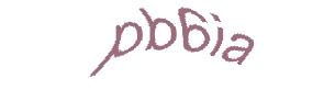 عبارت امنیتی