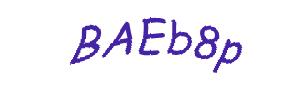 عبارت امنیتی