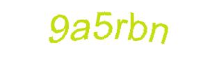 عبارت امنیتی