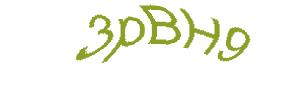 عبارت امنیتی