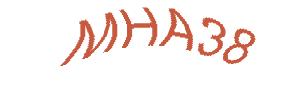 عبارت امنیتی