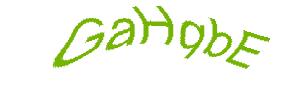 عبارت امنیتی