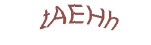 عبارت امنیتی