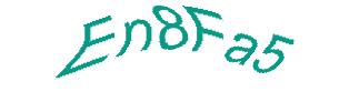 عبارت امنیتی