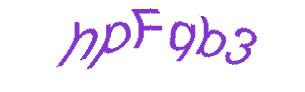 عبارت امنیتی