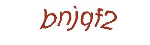 عبارت امنیتی