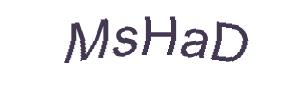 عبارت امنیتی