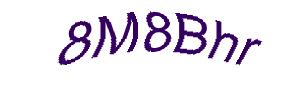 عبارت امنیتی