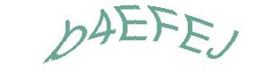 عبارت امنیتی