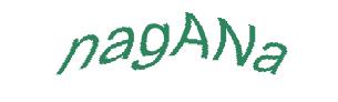 عبارت امنیتی