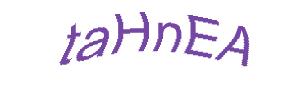 عبارت امنیتی