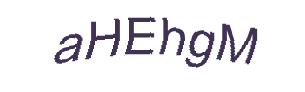عبارت امنیتی