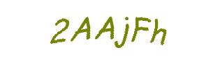 عبارت امنیتی