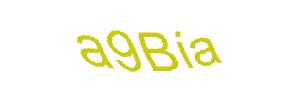 عبارت امنیتی