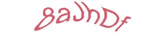 عبارت امنیتی