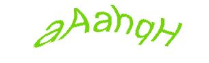 عبارت امنیتی