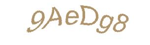 عبارت امنیتی