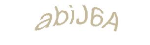 عبارت امنیتی