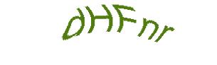 عبارت امنیتی