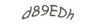 عبارت امنیتی