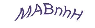 عبارت امنیتی