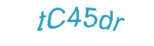 عبارت امنیتی