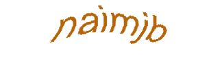 عبارت امنیتی