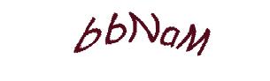عبارت امنیتی