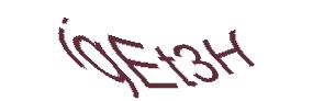 عبارت امنیتی
