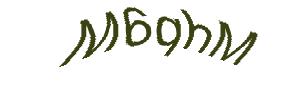 عبارت امنیتی