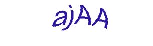 عبارت امنیتی
