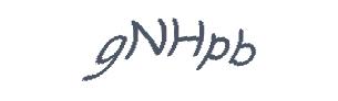 عبارت امنیتی