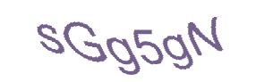 عبارت امنیتی
