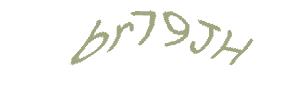 عبارت امنیتی