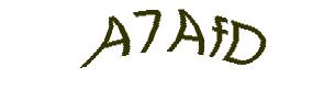 عبارت امنیتی