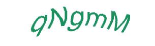 عبارت امنیتی