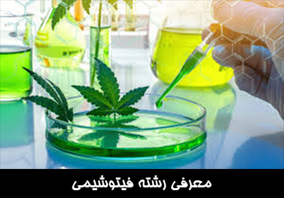 معرفی رشته فیتوشیمی