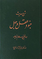 کتاب دست دوم شرح حدیث جنود عقل و جهل - در حد نو