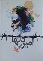 کتاب امیر دلها علی حسینی منجزی - کاملا نو
