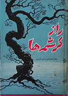 کتاب دست دوم راز کرشمه ها - در حد نو