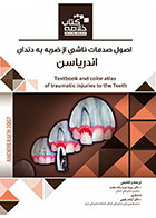 کتاب Book Brief خلاصه کتاب اصول صدمات ناشی از ضربه به دندان اندریاسن 2007 - کاملا نو
