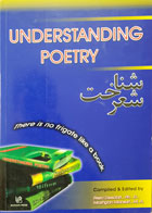 کتاب شناخت شعر Understanding Poetry رضا دیداری - کاملا نو