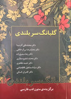 کتاب دست دوم گلبانگ سربلندی برگزیده متون ادب فارسی تالیف دکتر برزگر خالقی