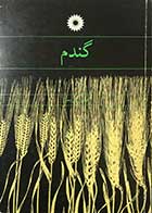 کتاب دست دوم گندم تالیف دکترهادی کریمی -در حد نو 