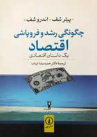 کتاب دست دوم چگونگی رشد و فروپاشی اقتصاد پیتر شف ترجمه حمیدرضا ارباب-در حد نو  