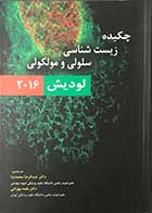 کتاب چکیده زیست شناسی سلولی ملکولی لودیش 2016تالیف هاروی لودیش ترجمه دکتر عبدالرضا محمدنیا