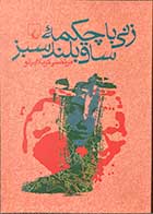 کتاب دست دوم زنی با چکمه ی ساق بلند سبز تالیف مرتضی کربلائی لو -در حد نو 