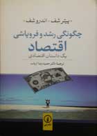 کتاب دست دوم چگونگی رشد و فروپاشی اقتصاد-نویسنده پیتر شف-ترجمه حمیدرضا ارباب