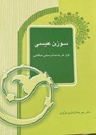 کتاب دست دوم سوزن  عیسی تالیف میرجلال الدین کزازی 