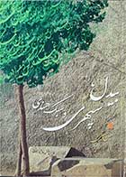 کتاب دست دوم بیدل, سپهری و سبک هندی-نویسنده حسن حسینی